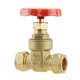 British Standard Gate Valve